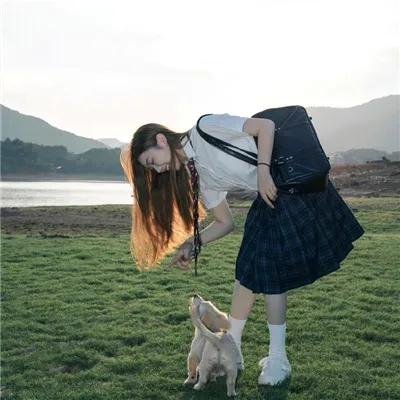猪猪侠
